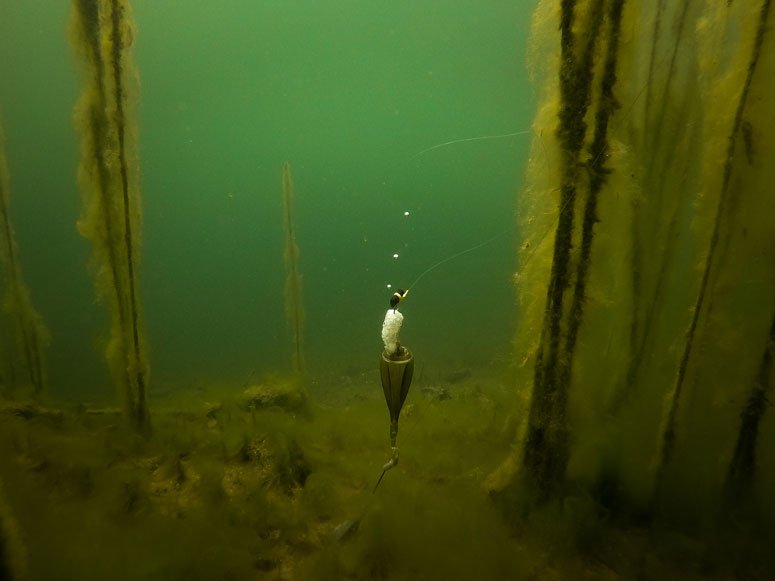 Fox Edges Zig Float Kit - dé KarperCentrale