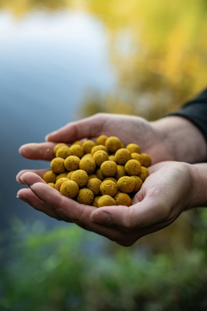 MTC Big Banana - Boilies - dé KarperCentrale